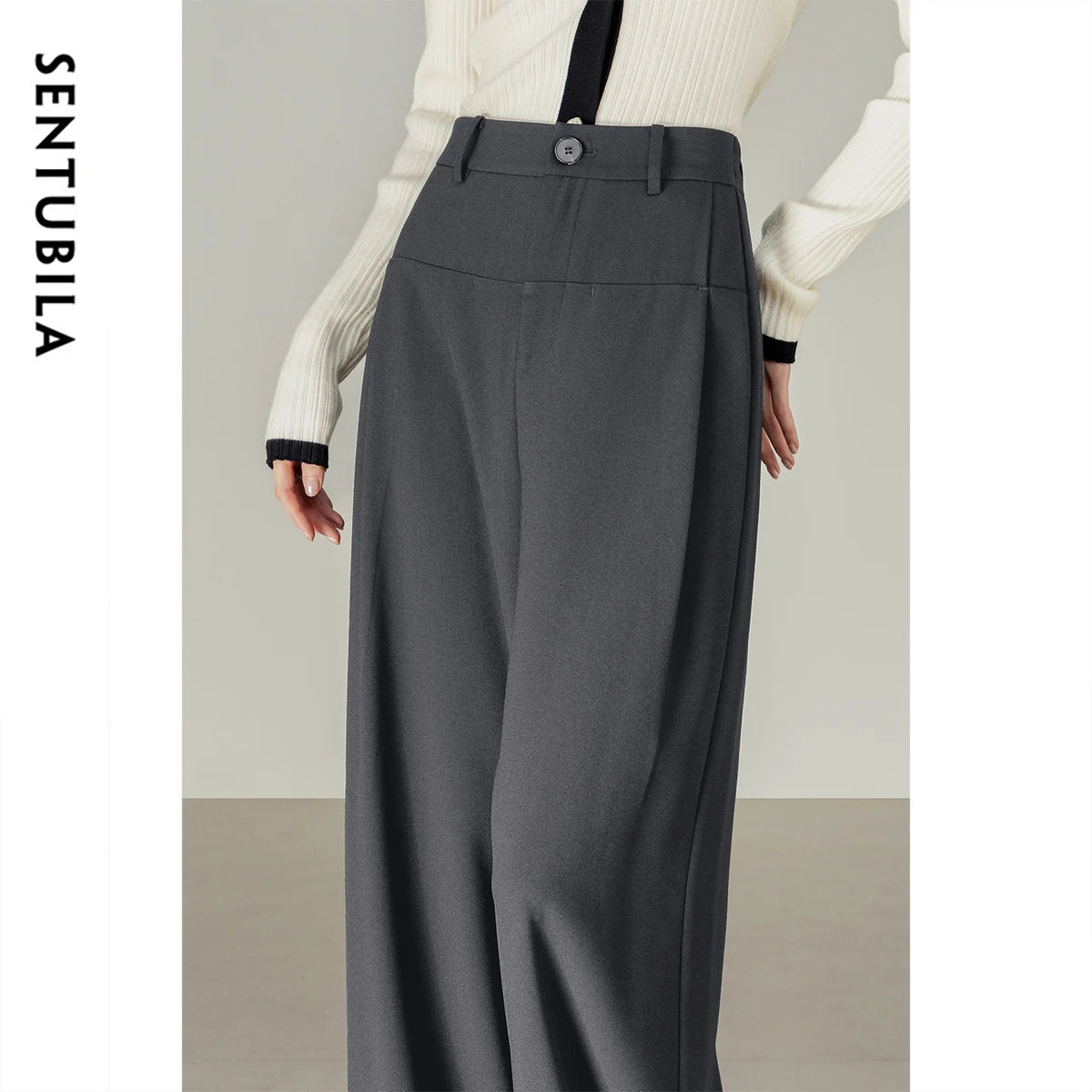 Pleated Wide-Leg Pants