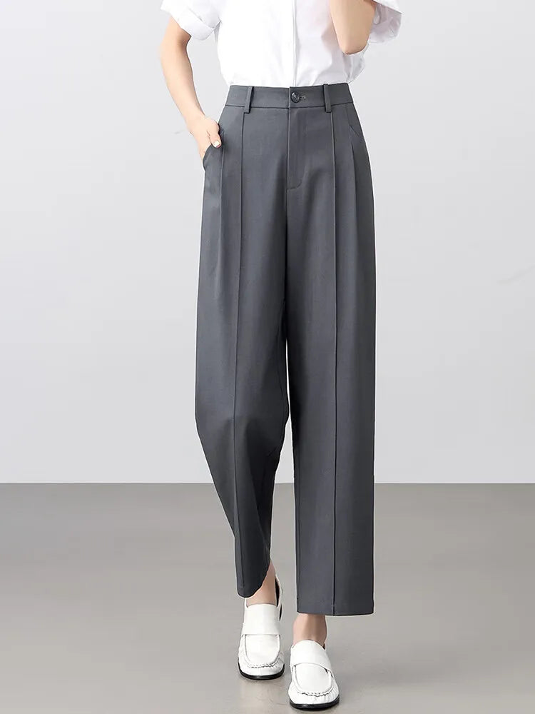 Pleated Tapered Pants