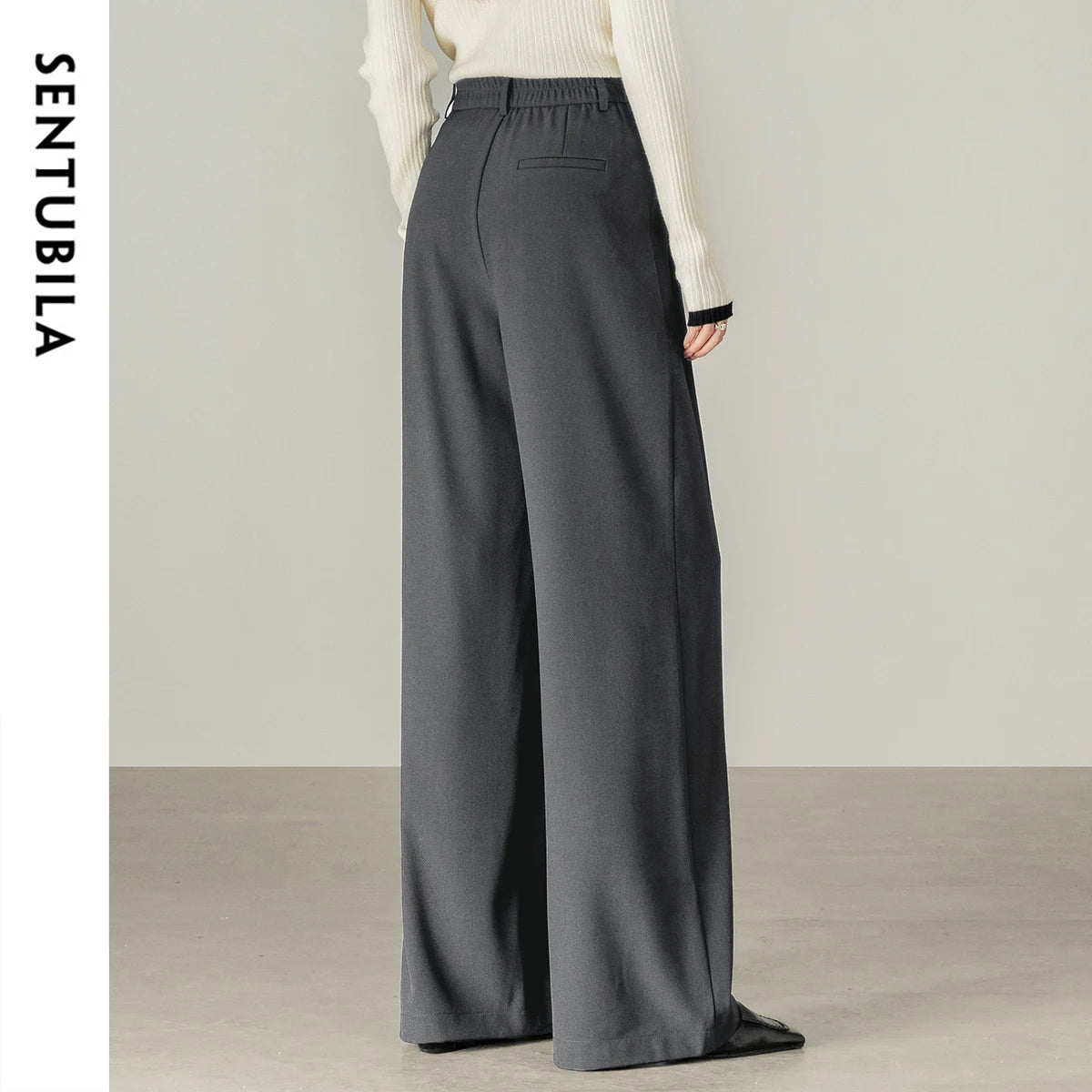 Pleated Wide-Leg Pants